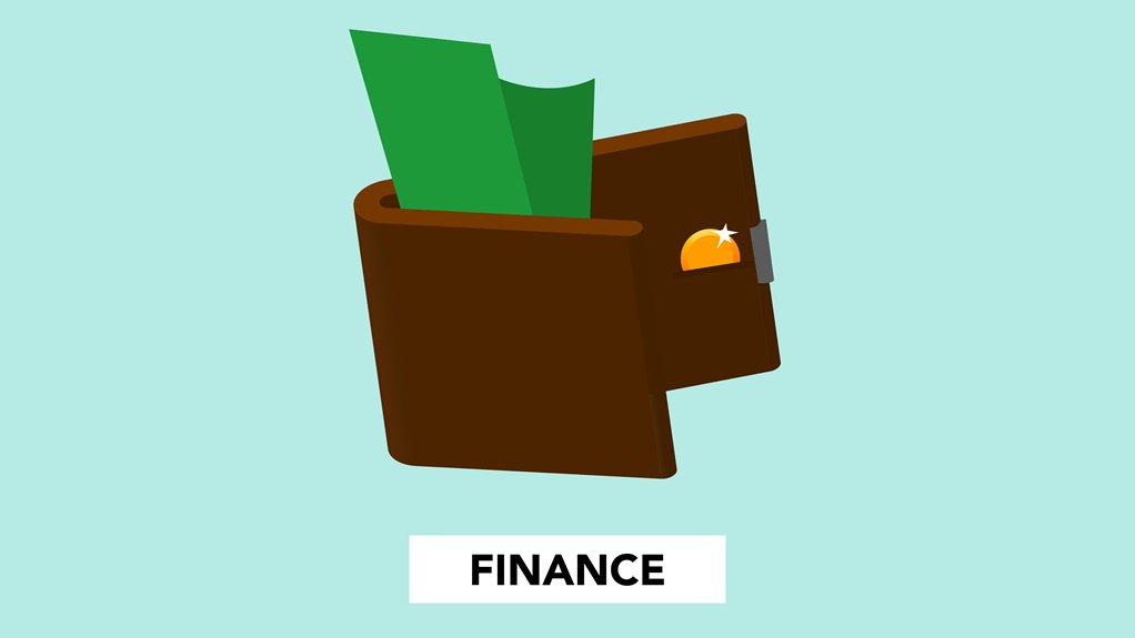 leveraging borrowed capital finance